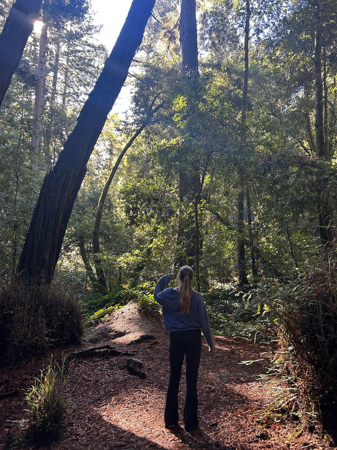 Wellness Prescription: A Daily Dose of Nature